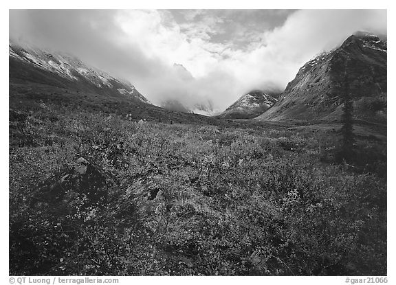 Arrigetch Peaks, tundra in fall colors, and clearing storm. Gates of the Arctic National Park (black and white)