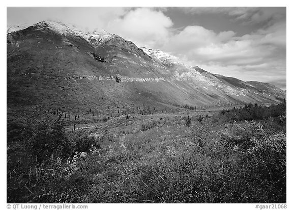 Tundra, valley, and mountains with fresh snow. Gates of the Arctic National Park, Alaska, USA.