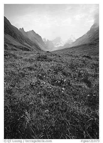 Low tundra in autum color and Arrigetch Peaks. Gates of the Arctic National Park, Alaska, USA.