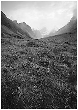 Low tundra in autum color and Arrigetch Peaks. Gates of the Arctic National Park, Alaska, USA. (black and white)