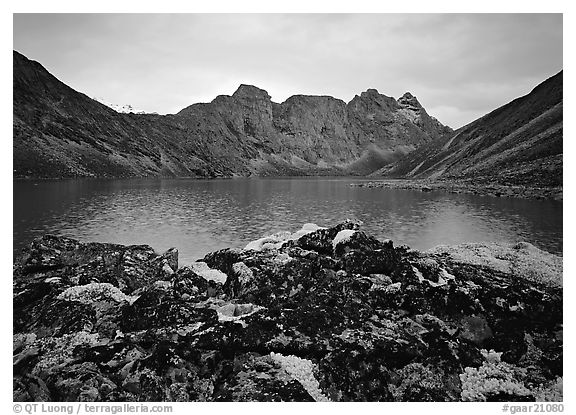 Dark rock and moss, Aquarius Lake. Gates of the Arctic National Park, Alaska, USA.