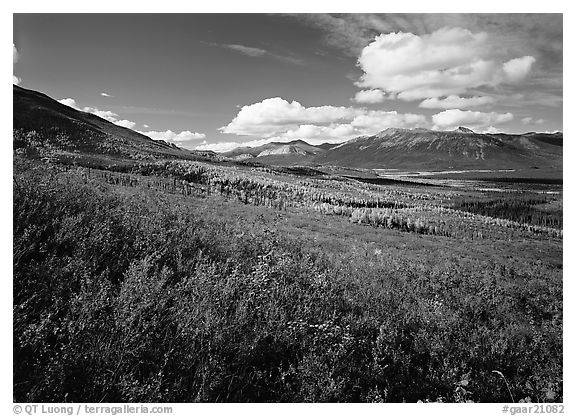 Alatna River valley. Gates of the Arctic National Park (black and white)