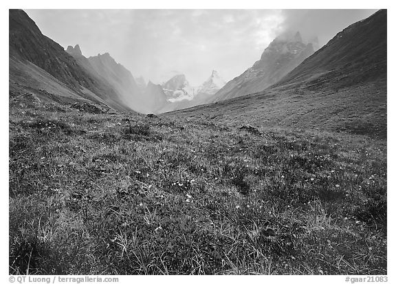 Tundra and Arrigetch Peaks. Gates of the Arctic National Park, Alaska, USA.