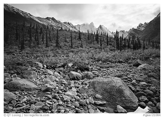 Arrigetch Creek and Peaks. Gates of the Arctic National Park (black and white)