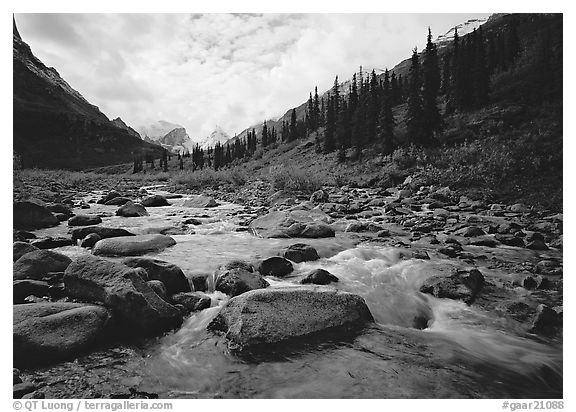 River flowing over boulders, Arrigetch Creek. Gates of the Arctic National Park, Alaska, USA.