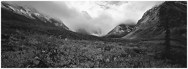 Brooks range landscape in the fall. Gates of the Arctic National Park (Panoramic black and white)