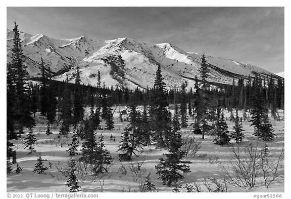 Boreal forest and brooks range in winter. Gates of the Arctic National Park (black and white)