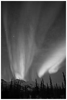 Northern lights over Brooks Range mountains. Gates of the Arctic National Park ( black and white)