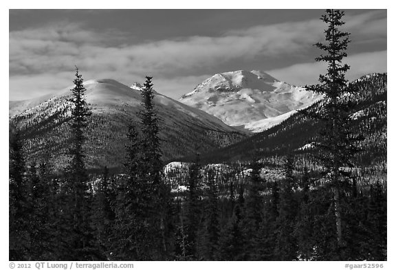 Boreal forest and snowy Brooks Range. Gates of the Arctic National Park (black and white)