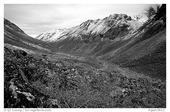 Aquarius Valley near Arrigetch Peaks. Gates of the Arctic National Park (black and white)
