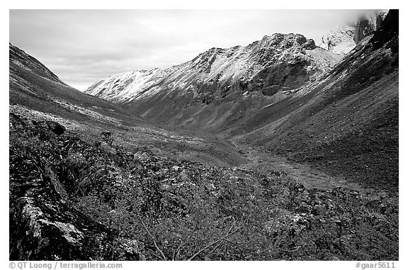 Aquarius Valley near Arrigetch Peaks. Gates of the Arctic National Park, Alaska, USA.