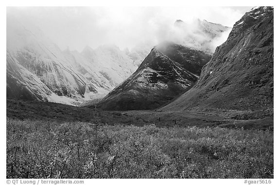 Tundra and Arrigetch Peaks partly hidden by clouds. Gates of the Arctic National Park (black and white)
