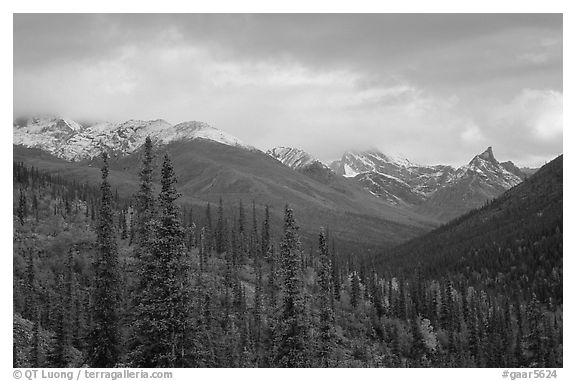 Arrigetch Peaks from Arrigetch Creek entrance at sunset. Gates of the Arctic National Park (black and white)