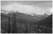 Arrigetch Peaks from Arrigetch Creek entrance at sunset. Gates of the Arctic National Park, Alaska, USA. (black and white)