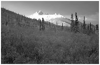 Arrigetch Peaks and tundra from Arrigetch Creek entrance, early morning. Gates of the Arctic National Park, Alaska, USA. (black and white)