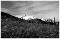 Arrigetch Peaks and tundra from Arrigetch Creek entrance, morning. Gates of the Arctic National Park, Alaska, USA. (black and white)