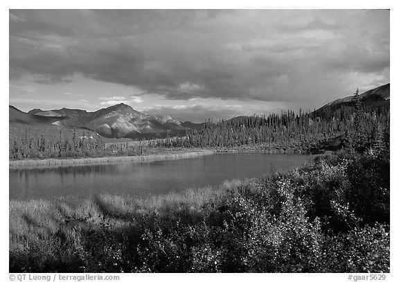 Alatna River valley near Circle Lake, evening. Gates of the Arctic National Park (black and white)