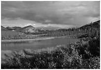 Alatna River valley near Circle Lake, evening. Gates of the Arctic National Park, Alaska, USA. (black and white)