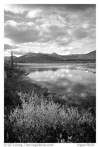 Alatna River valley near Circle Lake, evening. Gates of the Arctic National Park, Alaska, USA.