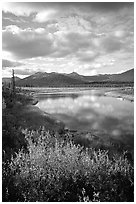 Alatna River valley near Circle Lake, evening. Gates of the Arctic National Park, Alaska, USA. (black and white)