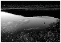 Alatna River reflections, sunset. Gates of the Arctic National Park, Alaska, USA. (black and white)