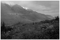 Shrubs and mountains in mist. Gates of the Arctic National Park, Alaska, USA. (black and white)