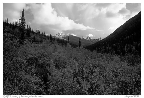 Distant Arrigetch Peaks seen from Arrigetch Creek. Gates of the Arctic National Park (black and white)