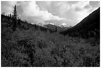 Distant Arrigetch Peaks seen from Arrigetch Creek. Gates of the Arctic National Park, Alaska, USA. (black and white)