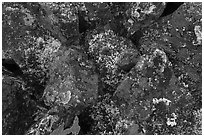 Close-up of dark rocks covered with moss and lichen. Gates of the Arctic National Park ( black and white)
