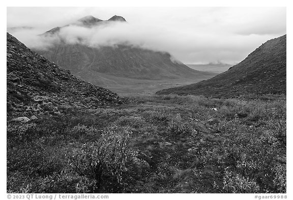 Autumn tundra and Kollutuk Mountain with low rain clouds. Gates of the Arctic National Park (black and white)