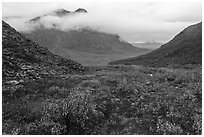 Autumn tundra and Kollutuk Mountain with low rain clouds. Gates of the Arctic National Park ( black and white)