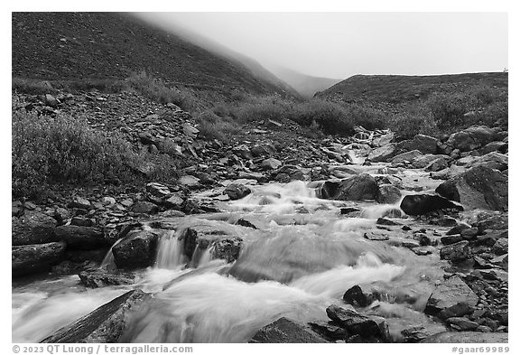 Inukpasugruk Creek tributary in autumn. Gates of the Arctic National Park (black and white)