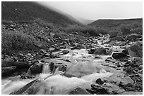 Inukpasugruk Creek tributary in autumn. Gates of the Arctic National Park ( black and white)