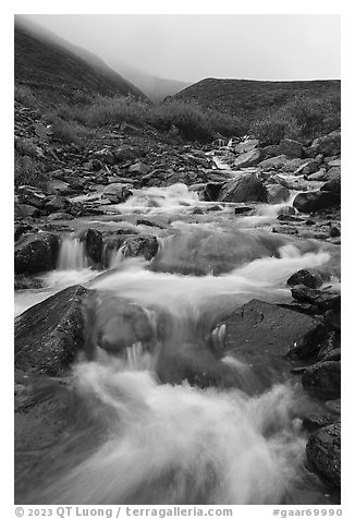 Creek cascading in autumn with misty hills. Gates of the Arctic National Park (black and white)