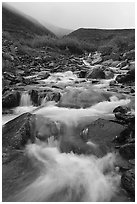 Creek cascading in autumn with misty hills. Gates of the Arctic National Park ( black and white)