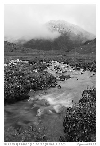 Tundra with creek and peak with fresh snow. Gates of the Arctic National Park (black and white)