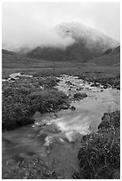 Tundra with creek and peak with fresh snow. Gates of the Arctic National Park ( black and white)