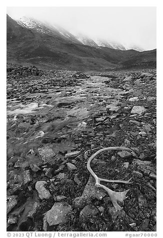 Antler, creek, and continental divide peaks. Gates of the Arctic National Park, Alaska, USA.