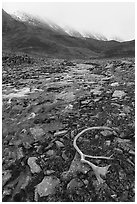 Antler, creek, and continental divide peaks. Gates of the Arctic National Park ( black and white)