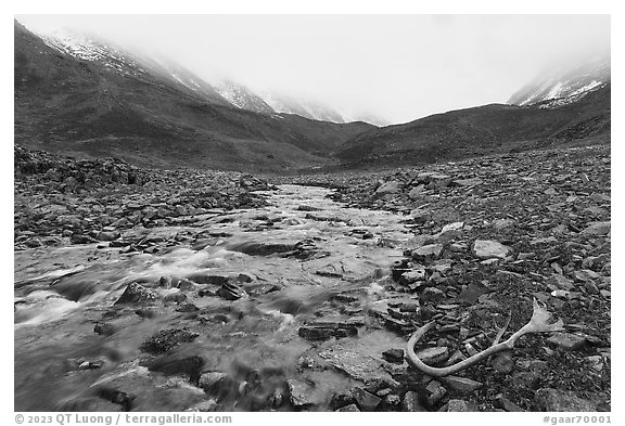 Antler, creek, and snowy peaks covered by clouds. Gates of the Arctic National Park (black and white)