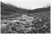 Antler, creek, and snowy peaks covered by clouds. Gates of the Arctic National Park ( black and white)