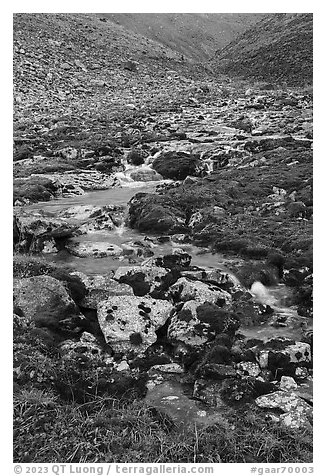 Stream flowing through rocks and mosses. Gates of the Arctic National Park (black and white)