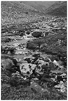 Stream flowing through rocks and mosses. Gates of the Arctic National Park ( black and white)