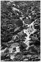 Stream cascading steeply. Gates of the Arctic National Park ( black and white)