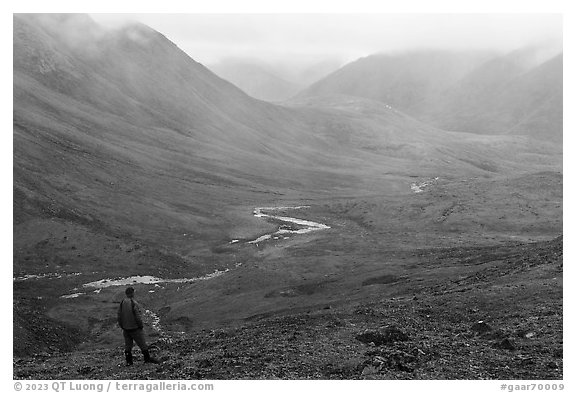 Visitor looking, Inukpasugruk Creek drainage in the rain. Gates of the Arctic National Park (black and white)