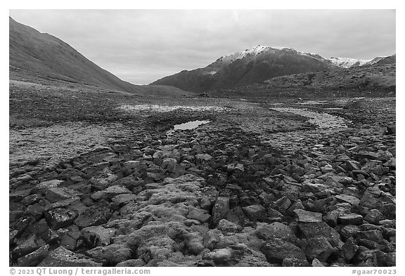 Field of angular rocks alternating with moss and snowy mountains. Gates of the Arctic National Park, Alaska, USA.