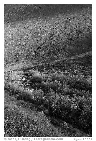Stream, willows, and rocky slope. Gates of the Arctic National Park (black and white)