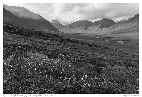 Inukpasugruk Valley in autumn. Gates of the Arctic National Park (black and white)