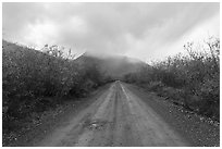 Road, Anaktuvuk Pass. Gates of the Arctic National Park ( black and white)