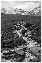 Stream and snowy peaks. Gates of the Arctic National Park ( black and white)